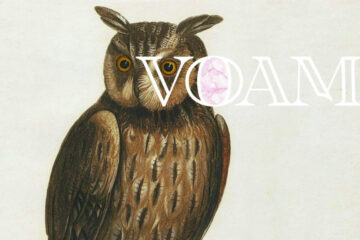voam
